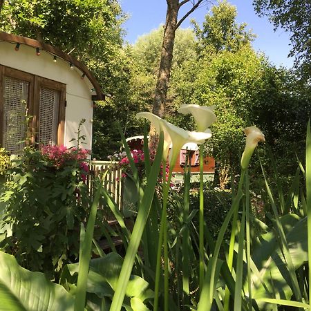 Roulottes Du Rouard Bed and Breakfast Camiers Esterno foto