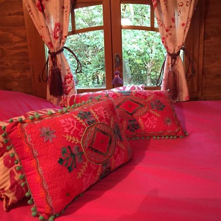 Roulottes Du Rouard Bed and Breakfast Camiers Esterno foto