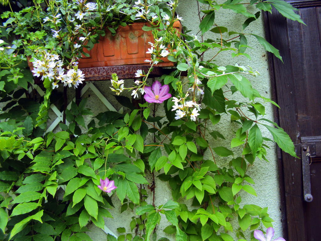 Roulottes Du Rouard Bed and Breakfast Camiers Esterno foto