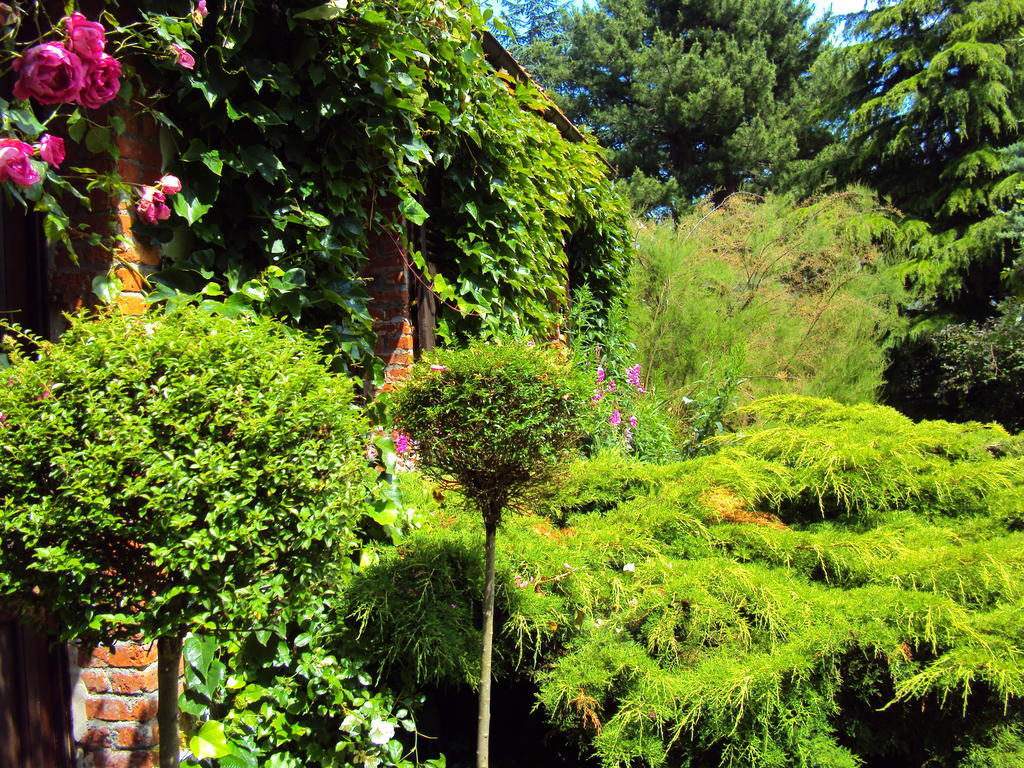 Roulottes Du Rouard Bed and Breakfast Camiers Esterno foto