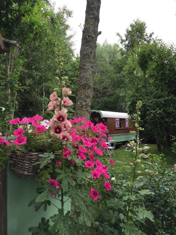Roulottes Du Rouard Bed and Breakfast Camiers Esterno foto