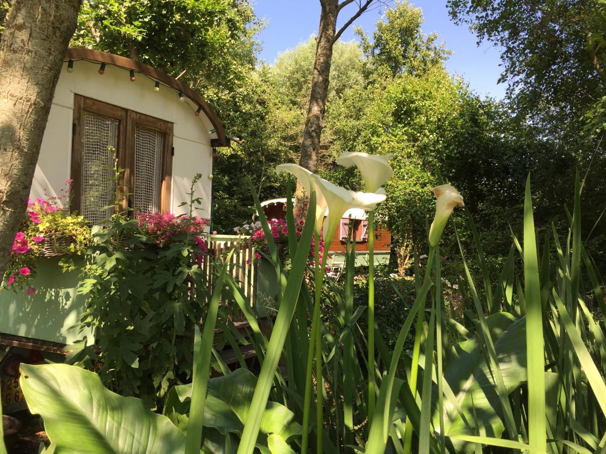 Roulottes Du Rouard Bed and Breakfast Camiers Esterno foto