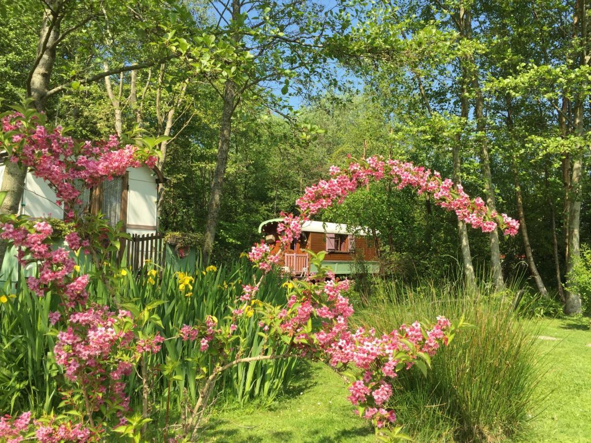 Roulottes Du Rouard Bed and Breakfast Camiers Esterno foto